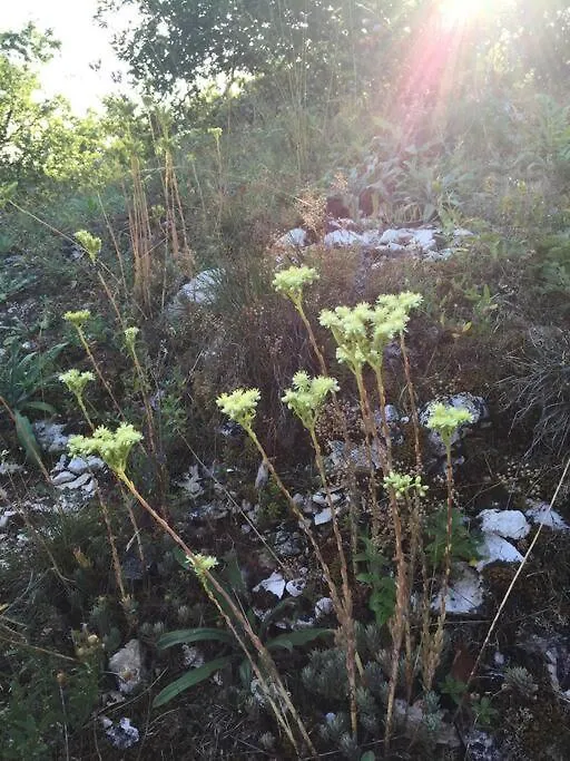 Gite La Grange Du Pech Lacour Hébergement de vacances