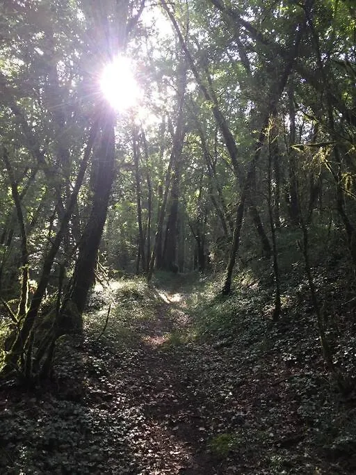 Gite La Grange Du Pech Lacour
